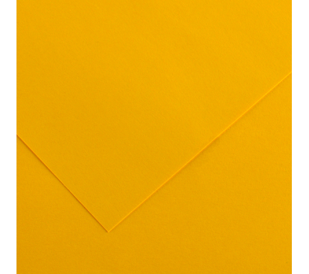 Foglio Colorline - 70 x 100 cm - 220 gr - giallo oro - Canson - 200041191 - 3148954227085 - DMwebShop