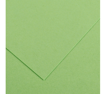 Foglio Colorline - 70 x 100 cm - 220 gr - verde mela - Canson - 200041213 - 3148954227306 - DMwebShop