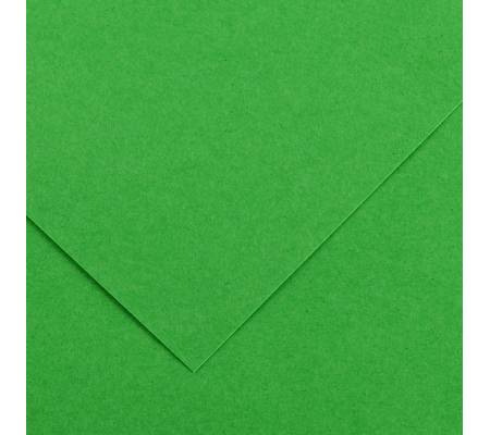 Foglio Colorline - 70 x 100 cm - 220 gr - verde brillante - conf. 25 pezzi - Canson - 200041215 - 3148954227320 - DMwebShop