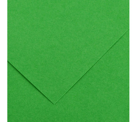 Foglio Colorline - 70 x 100 cm - 220 gr - verde brillante - Canson - 200041215 - 3148954227320 - DMwebShop