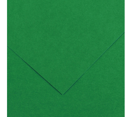 Foglio Colorline - 70 x 100 cm - 220 gr - verde vivo - Canson - 200041216 - 3148954227337 - DMwebShop