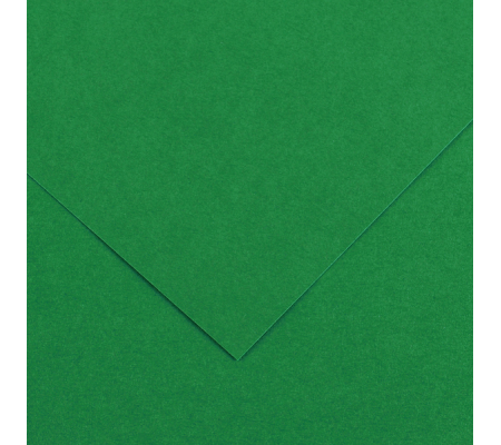 Foglio Colorline - 70 x 100 cm - 220 gr - verde vivo - conf. 25 pezzi - Canson - 200041216 - 85587A - DMwebShop