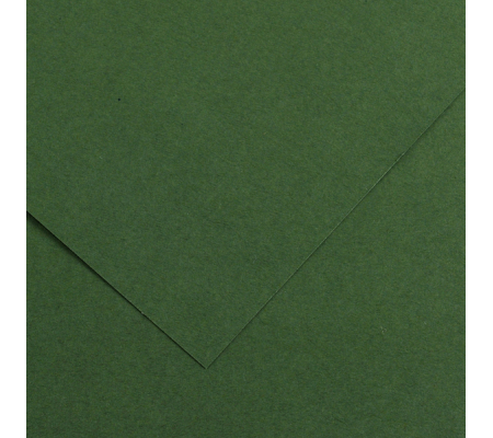 Foglio Colorline - 70 x 100 cm - 220 gr - verde abete - Canson - 200041217 - 3148954227344 - DMwebShop