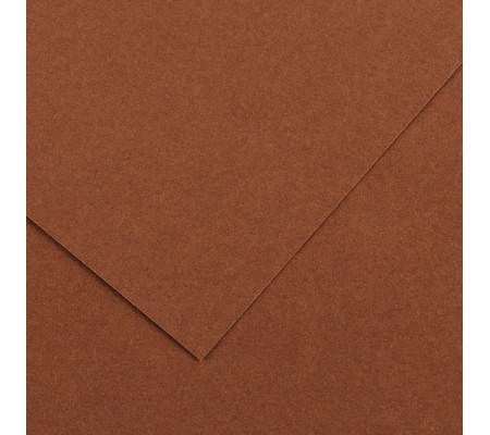 Foglio Colorline - 70 x 100 cm - 220 gr - cioccolato - conf. 25 pezzi - Canson - 200041220 - 3148954227375 - DMwebShop