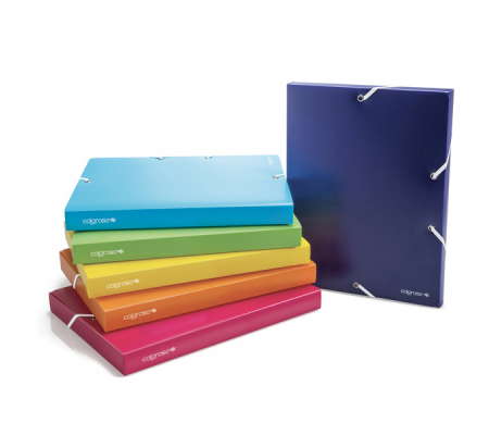 Cartella con elastico - PPL - colori assortiti - dorso 30 mm - conf. 6 pezzi - Colorosa - 362300.S - 8004428045331 - DMwebShop