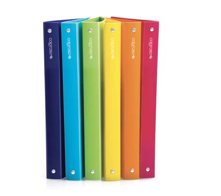 Raccoglitore 4R - 245x307 mm - Ø 15 mm - colori assortiti - conf. 24 pezzi - Colorosa - 362815.S1 - 8004428043498 - DMwebShop