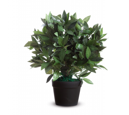 Pianta ornamentale - lauro - H50 cm - Paperflow - Alco - K700134 - 3660141290097 - DMwebShop