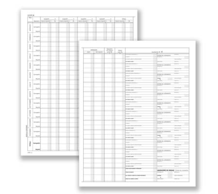 Registro prospetto riepilogativo minori 8 pagine 31 x 24,5 cm Data Ufficio DU138510000 - 19641