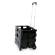 Carrello pieghevole con cassa in plastica - portata max 25 kg - Garden Friend - C1299040 - 8023755053147 - DMwebShop