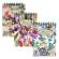 Blocco spirale Nature Flowers - spiralato sul lato corto - 5 mm - A6 - 80 gr - 50 fogli - conf. 6 pezzi - Pigna - 02221705M - 8005235072718 - DMwebShop