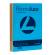 Carta Rismaluce - A4 - 90 gr - mix 8 colori - conf. 300 fogli - Favini - A66X314 - 8007057628647 - DMwebShop