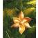 Vernice spray - 150 ml - oro - Deco - 615/1 - 5410764216558 - 61059_2 - DMwebShop