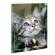 Album portafoto a busta saldato assortiti - 23 x 30 cm - contiene fino a 80 foto da 14 x 19 cm - Lebez - 2757 - 8007509027578 - 55617_4 - DMwebShop