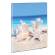 Album portafoto a busta saldato assortiti - 23 x 30 cm - contiene fino a 80 foto da 14 x 19 cm - Lebez - 2757 - 8007509027578 - 55617_6 - DMwebShop