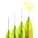 Penna a sfera a scatto multifunzione 4 Colors Fluo - punta 1,0 - 1,6 mm - 4 colori fluo - fusto giallo fluorescente - conf. 12 pezzi - Bic - 982868 - 3086123415263 - 79888_3 - DMwebShop