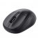 Mouse ottico bluetooth wireless Primo - Trust - 24966 - 8713439249668 - DMwebShop