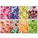 Maxiquaderno Fruit - A4 - 5 mm - 42 fogli - 80 gr - conf. 10 pezzi - Pigna - 02333735M - 8005235049291 - DMwebShop