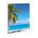 Album portafoto a busta saldato assortiti - 17 x 21 cm - contiene fino a 24 foto da 14,5 x 20 cm - Lebez - 2756. - 8007509027561 - DMwebShop - 6