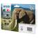 Multipack Cartucce Originale - Epson 24XL - Confezione 6 cartucce - Epson - C13T24384011 - 8715946615158 - DMwebShop - 1