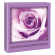 Album foto - 100 foto f.to - 13 x 19 cm - fantasie assortite - Lebez - 80460. - 8007509072929 - DMwebShop - 1