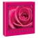 Album foto - 100 foto f.to - 13 x 19 cm - fantasie assortite - Lebez - 80460. - 8007509072929 - DMwebShop - 3