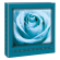 Album foto - 100 foto f.to - 13 x 19 cm - fantasie assortite - Lebez - 80460. - 8007509072929 - DMwebShop - 4