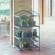 Serra Azalea - 3 ripiani - 70 x 50 x 125 cm - Verdemax - 2492 - 8015358024921 - DMwebShop - 1