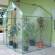 Serra Clematis - a casetta - 155 x 155 x 205 cm - Verdemax - 2646 - 8015358026468 - DMwebShop - 1