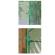 Serra Clematis - a casetta - 155 x 155 x 205 cm - Verdemax - 2646 - 8015358026468 - DMwebShop - 2