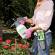 Pompa a pressione manuale - 2 lt - Verdemax - 5967 - 8015358059671 - DMwebShop - 2