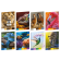Maxiquaderno Animal Palette - A4 - 1 rigo - con margine - 21 fogli - 80 gr - Blasetti - 8951 - 8007758289512 - DMwebShop