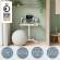 Scrivania Compatta pneumatica Sit-Stand - mobile - 80 x 60 x 75 cm - bianco - Leitz - 65360001 - 4002432138395 - DMwebShop - 5
