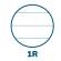 Blocco spiralato Quablock Original - 22 x 29,7 cm - 1 rigo - 120 fogli - 80 gr - 4 fori - conf. 5 pezzi - Pigna - 02000011R - 8005235019454 - DMwebShop - 1