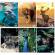 Maxiquaderno Animal fantasia A4 40-2 fogli 80 gr 10 mm BM 0110382 - 25401 - 2