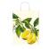 Shoppers - con manici - 36 x 41 x 12 cm - fantasie assortite - conf. 25 pezzi - Rex Sadoch - SDX36ASS - 8006715128888 - DMwebShop - 6