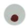 Scatola 50 biglietti partecipazione a libro + busta Medioevale - Kartos - ODLS700001MEA - 8009162351595 - DMwebShop - 1