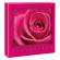 Album foto - 100 foto f.to - 13 x 19 cm - fantasie assortite - Lebez - 80460. - DMwebShop - 3