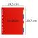 Separatore neutro a 12 tacche - PPL - colori assortiti - A4 Maxi - conf. 50 pezzi - Exacompta - 93H - 3141870000930 - DMwebShop - 1