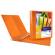 Raccoglitore personalizzabile Myto TI 4 anelli a D 17 mm dorso 2,5 cm 22 x 30 cm arancio Sei Rota 36911744 - 2976