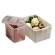 Contenitore Foodbox con coperchio 58 x 38 x 26 cm 40 lt PPL riciclabile bianco - 21754 - 1