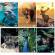 Maxiquaderno Animal fantasia - A4 - 40+2 fogli - 80 gr - 4 mm - con margine - conf. 10 pezzi - BM - 0110383 - 8008234103834 - DMwebShop