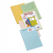 Cartelline a L con finestra Sintex cartoncino - 120 gr - 22 x 31 cm - mix 5 colori - conf. 20 pezzi Blasetti 576