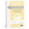Ricambi con rinforzo ecologico - A4 - 100 gr - 40 fogli - 5 mm - con margine - Favini - A475414 - 8007057237634 - DMwebShop