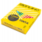 Carta Copy Tinta - A4 - 160 gr - colori forti giallo - conf. 250 fogli - Fabriano - 60616021 - 8001348154006 - DMwebShop