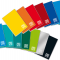 Quaderno A5 riga di 3a 20fg+1 80gr One Color Blasetti 1404