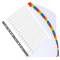 Separatore numerico 1/31 - cartoncino bianco 160 gr - tasti colorati - A4 maxi - Exacompta - 4131E - 3130630041313 - DMwebShop