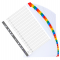 Separatore numerico 1/31 - cartoncino bianco 160 gr - tasti colorati - A4 maxi - Exacompta - 4131E - 3130630041313 - DMwebShop
