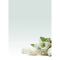Carta con stampa 'rosa bianca' - A4 - 90 gr - conf. 20 fogli - Decadry - T036126 - 8410782121268 - DMwebShop