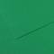 Foglio Mi-Teintes - A4 - 160 gr - verde biliardo - conf. 25 pezzi - Canson - C31032S029 - 92897CNF01 - DMwebShop