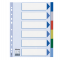 Separatore - 6 tasti colorati - PPL - A4 - multicolore - Esselte - 15260 - 5902812152609 - DMwebShop